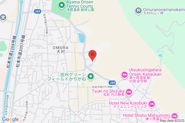カーニバルクリーニング 羽束師店
