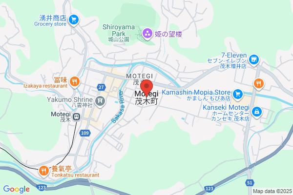 ドミノ・ピザ南矢島店