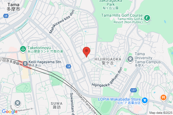 PUDOステーション　Big-A　川崎宿河原店