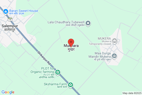 丸亀製麺立川若葉