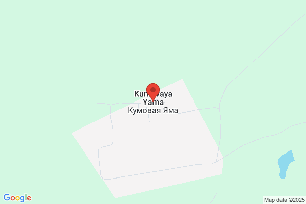 すし銚子丸 上尾店