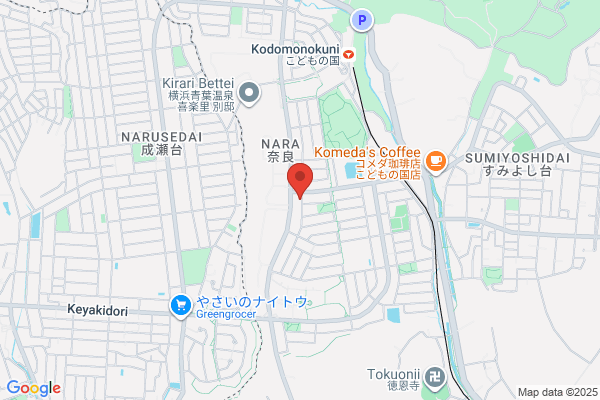 ENEOS Dr.Driveセルフ岡崎羽根店(ENEOSフロンティア)