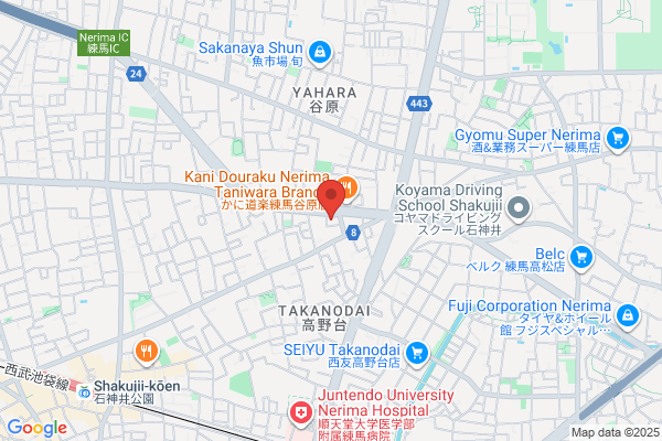 BYD AUTO 練馬