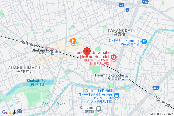 Kami Shakujii Dance School