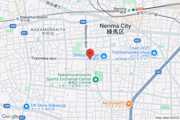 Nagayama Denki Shokai