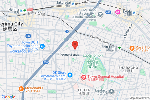 Hanazono Denki Shokai