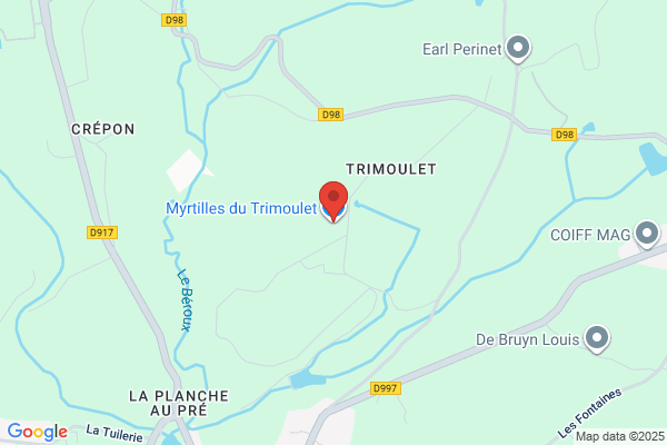 Myrtille