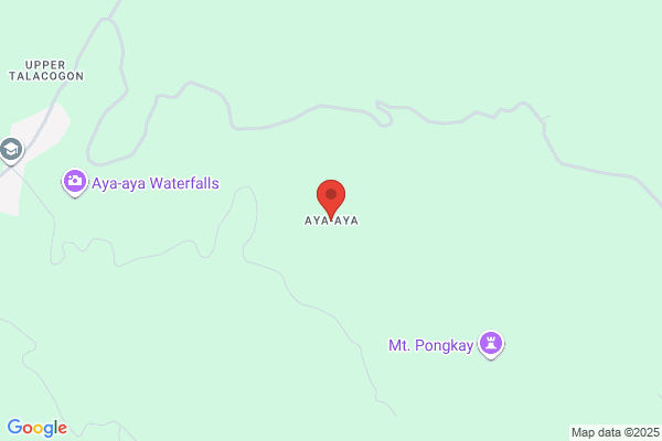 痩身館aya