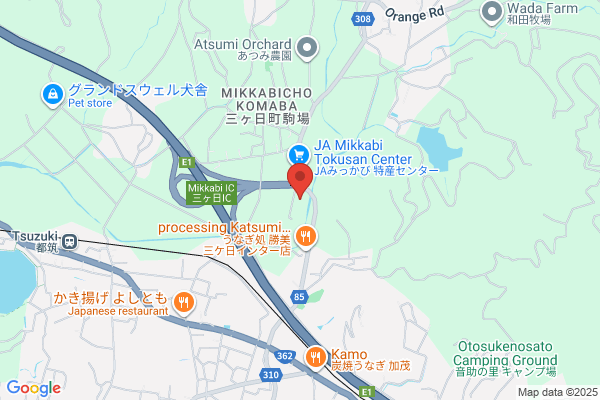ENEOSウイング ルート22木曽川インターTS