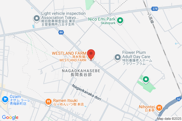 クオール薬局河辺店
