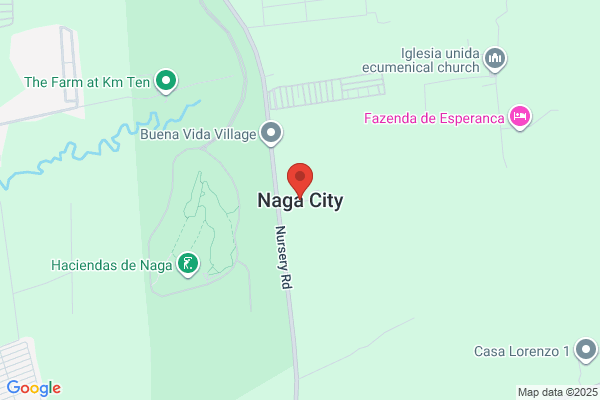 杏林堂薬局 上西店