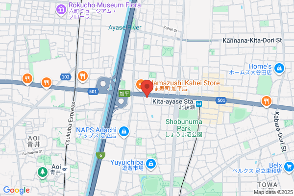 BYD AUTO 池袋