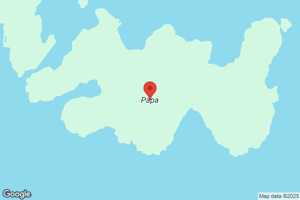 PAPA’S 放出店