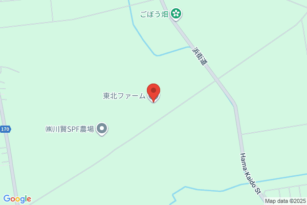 【閉店】居酒屋バル1号店TOHOKU FARM
