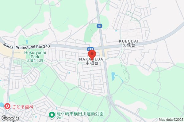 ドミノ・ピザ龍ケ崎店