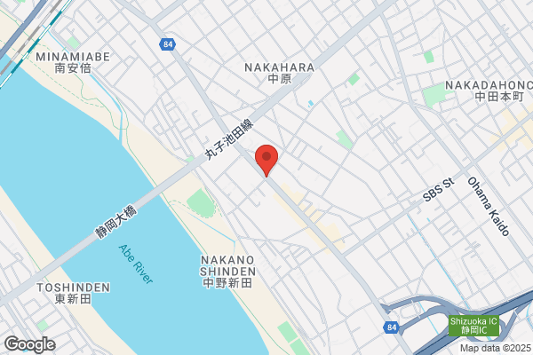 ドミノ・ピザ丸子新田店