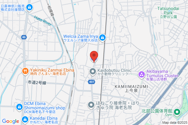 ENEOS Dr.Driveセルフ海老名上郷店(ENEOSフロンティア)