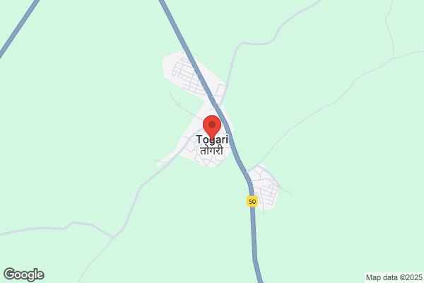 麺屋togari