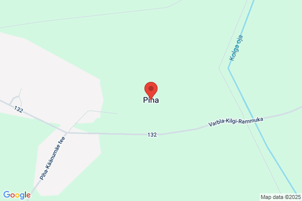 salon piha