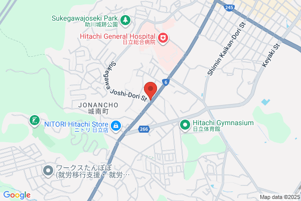 すき家 6号日立城南店