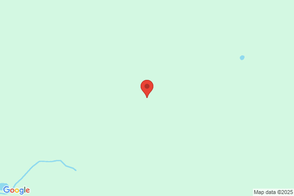 めだか物語