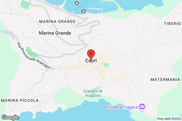 カプリ（CAPRi）
