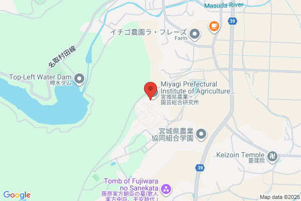 Shokei Women's Junior College