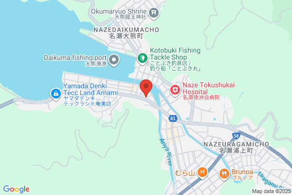 ゲオ 奄美店