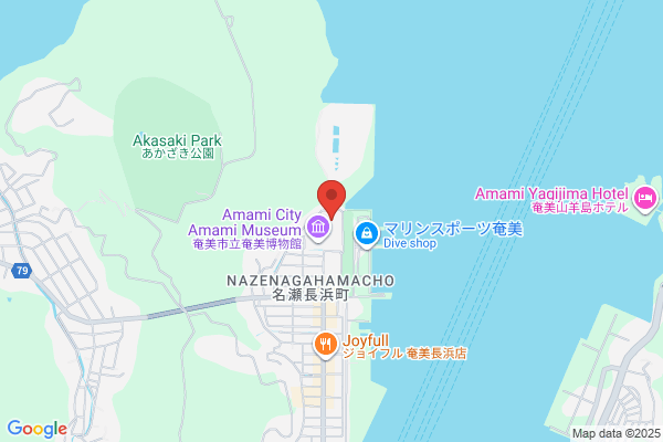 奄美会場 - 閉館