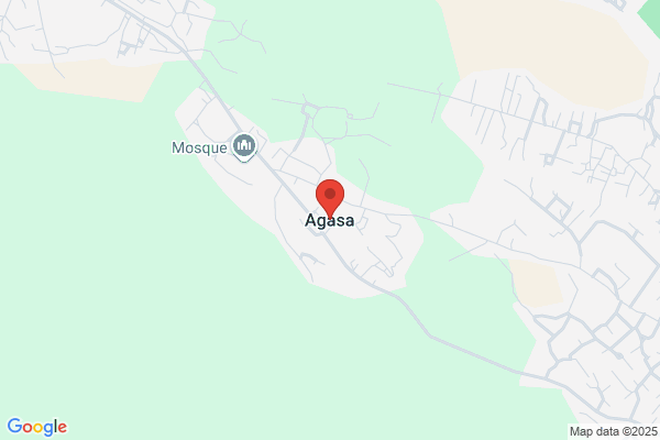 AGASA あがさ 救急サービス