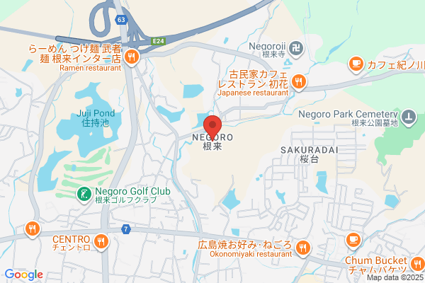 ドミノ・ピザ24号岩出店