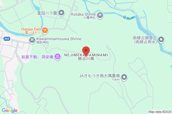 ディスカウントドラッグコスモス 大根占店