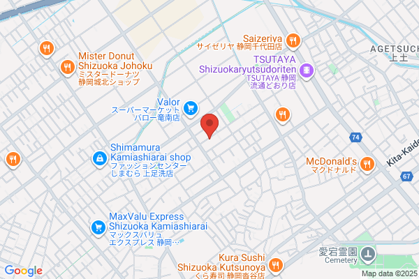 松楽