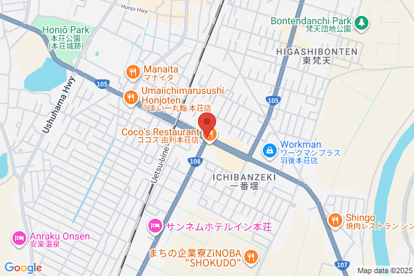 ゲオ由利本荘桜小路店