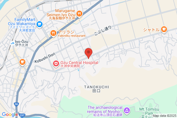 レデイ薬局 とみす店