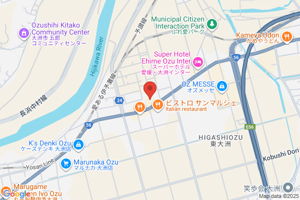 ゲオ大洲店