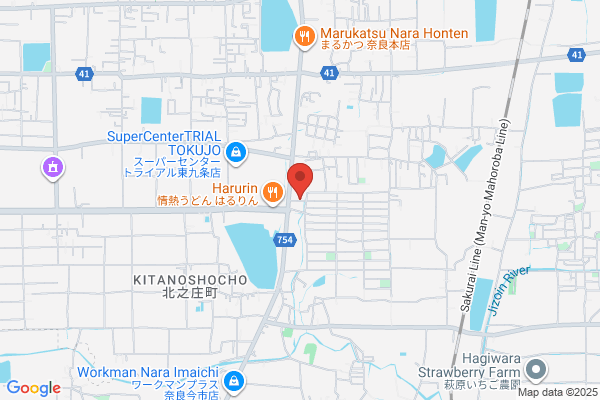 ドミノ・ピザ奈良永井店（閉店）