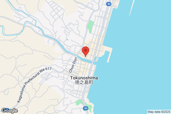 東横INN鹿児島天文館1