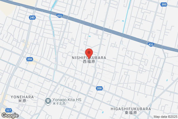 ウェルネス 皆生薬局