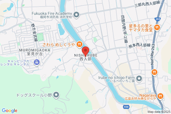 ディスカウントドラッグコスモス 東入部店