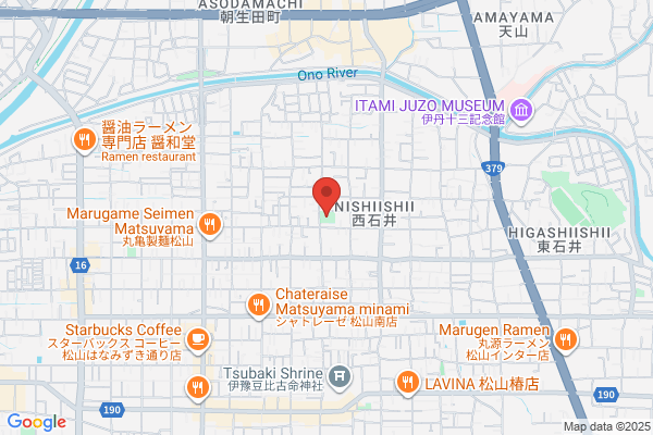 ゲオ松山椿店
