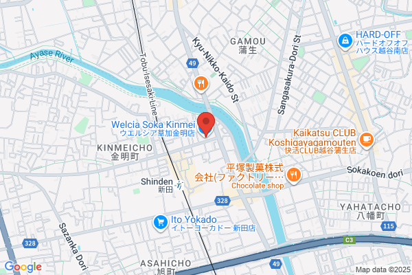 ウエルシア草加金明店 (調剤薬局)