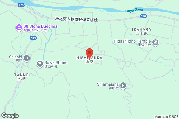 ドミノ・ピザ羽曳野島泉店