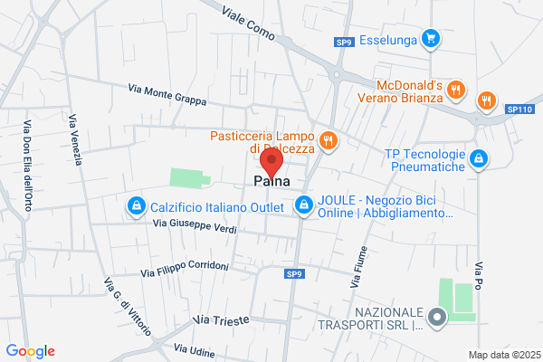 わんpaina