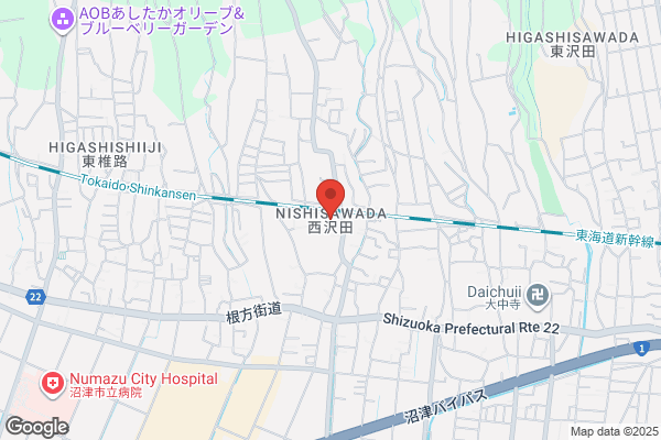 スーパースポーツゼビオ ららぽーと沼津店