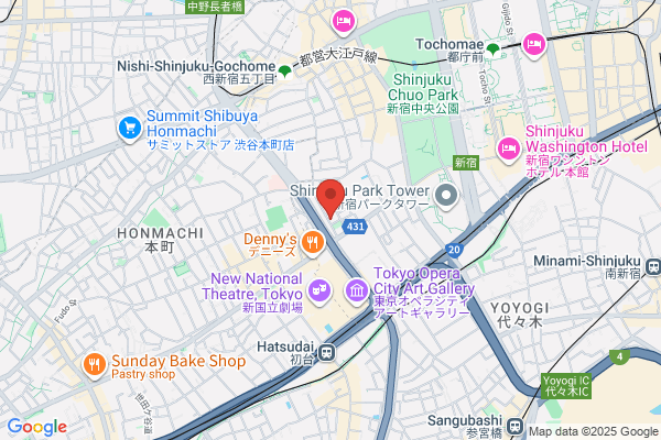 東横INN鹿児島中央駅西口
