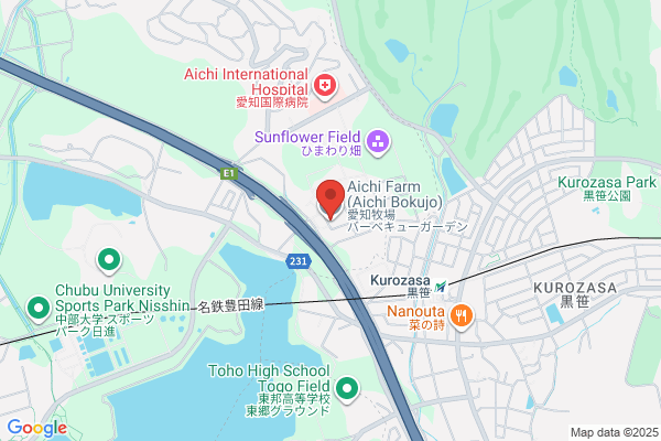 韓国料理＆BBQ ペゴッパヨ 川崎本店（배고파요）
