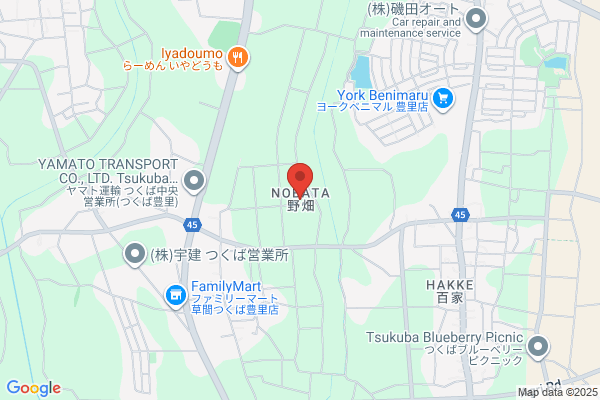 すき家 イーアスつくば店