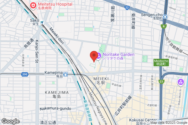 ゲオ名古屋亀島店