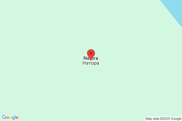 ディスカウントドラッグコスモス 土山店